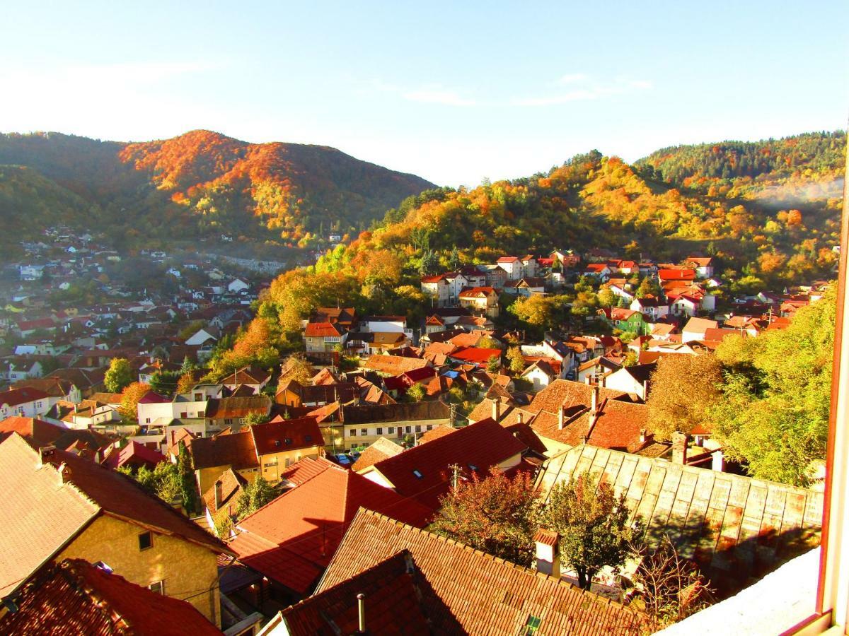 Vila Paul Best Paronamic View Over Medieval Historical Centre Braşov Eksteriør billede